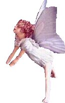 Fairy 18