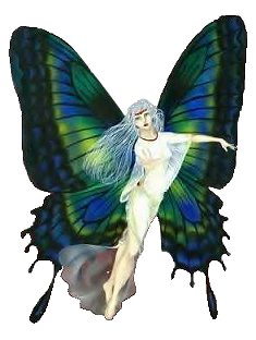 Fairy 19