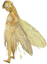 Fairy 3