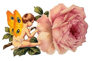 Fairy 4