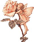 Fairy 7