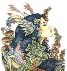 Fairy 9