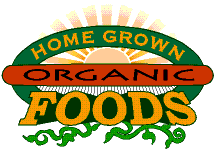 yummy organic foods