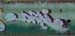 grafitis-gr.