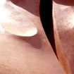 pedrera_encuadre