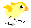 chick