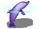 dolphin