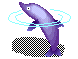 dolphin