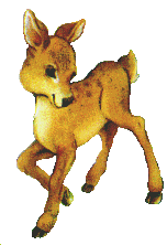 deer