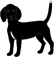 oreo!