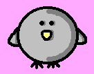 mr. hoot