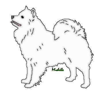frosty the samoyed