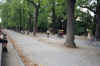00090015.jpg (345107 �Ӧ줸��)