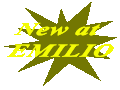 New at EMILIO shop