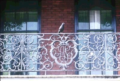 Balcony railing of one of the Pontabla buildings in Jackson Square.