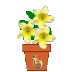 The Site Fights Spirit Flowers