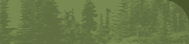 tree image