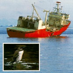 oil-spill image