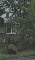 treecare image