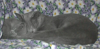 TAKING A NAP