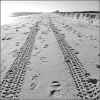 tracks.jpg (70569 bytes)
