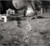 water2a.jpg (40327 bytes)