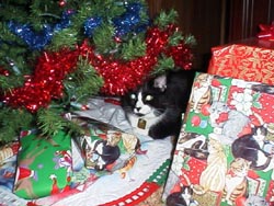 Boogiexmas2.JPG (27976 bytes)