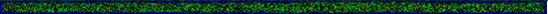 Greenbkgd.gif (8381 bytes)