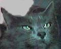 Marty.jpg (2725 bytes)