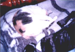 jackieblanket.JPG (14901 bytes)