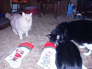 xmas2000.jpg (22833 bytes)