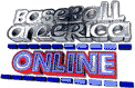 baseamer.gif (3256 bytes)