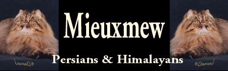 Mieuxmew Persians and Himalayans