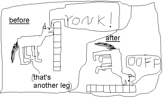 Horse Bonk