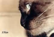 Serious look