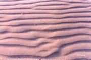 Sand in a beach