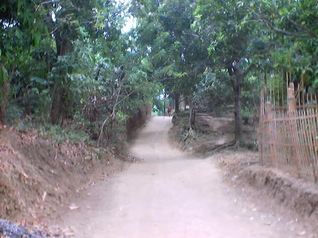 road.jpg