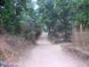 road_small.jpg