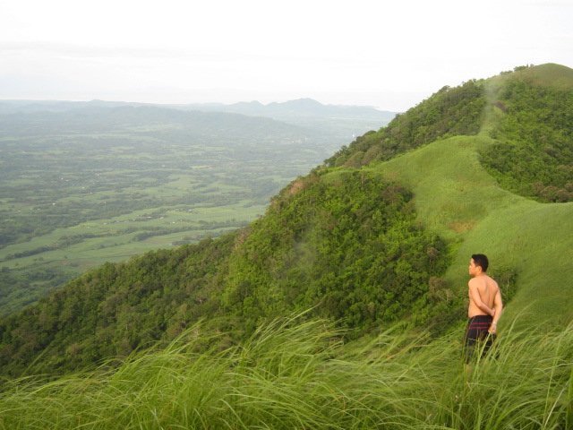 thegrassland.jpg