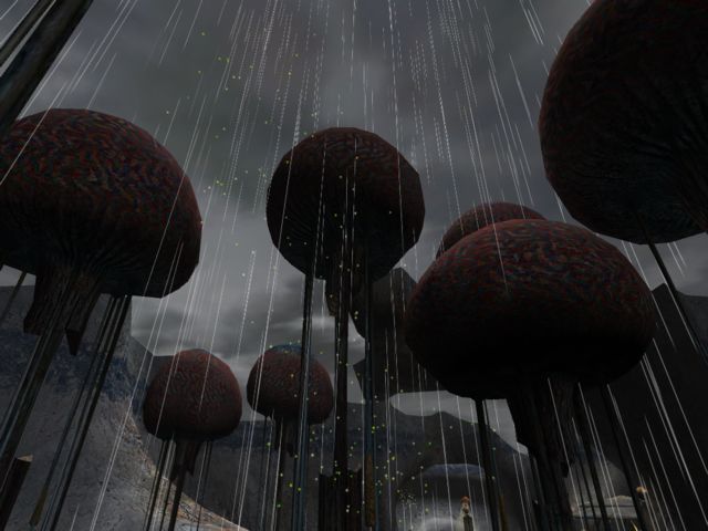 Fireflies fleeing in the rain in Eder Kemo