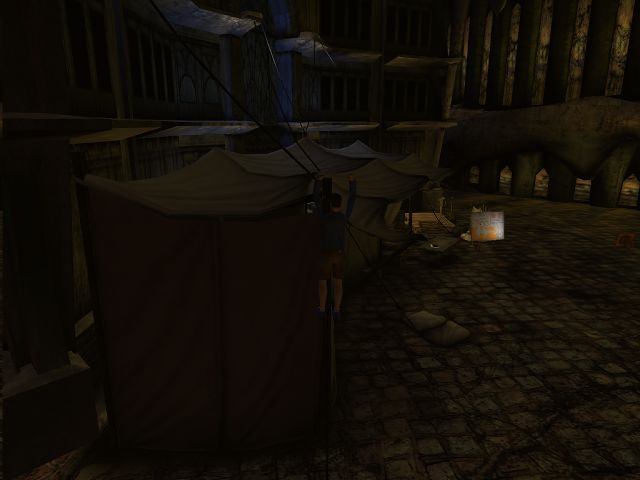 EMS finally learns how to "tent climb"