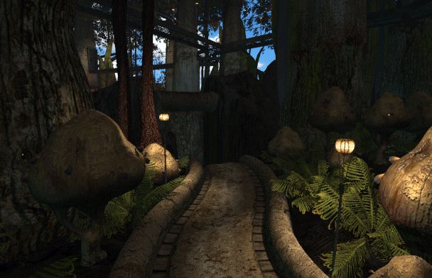 Deep in the jungle on Jungle Island