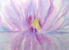 waterlilydream.jpg (16761 bytes)
