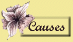 My Causes & Beliefs