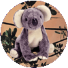 Eucalyptus