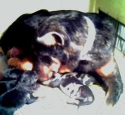 The new Babies! Born on Winter Solstice