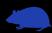 Click Me to visit the Hamster Nook!