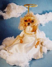 angel36.jpg (11323 bytes)