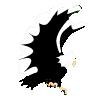 eagle11.gif (5006 bytes)