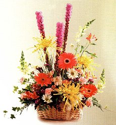 flower25.jpg (20776 bytes)